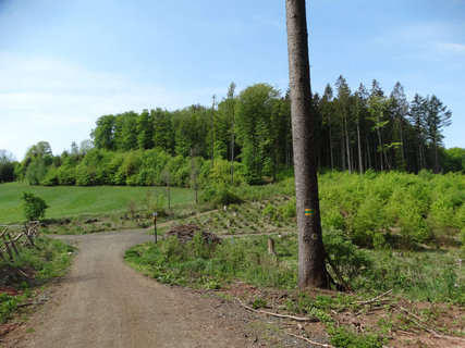 FOTKA - Kumburk a Bradlec, msta ponkud opomjen