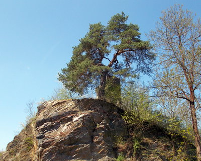 FOTKA - Rabtejn nad Stelou