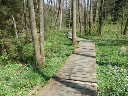 FOTKA - Naun stezka Stebnick potok (Karlovarsk kraj)