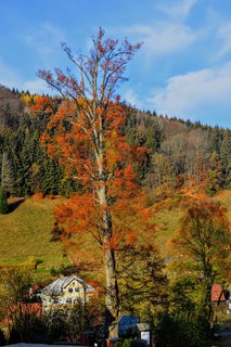 FOTKA - Krytofovo dol