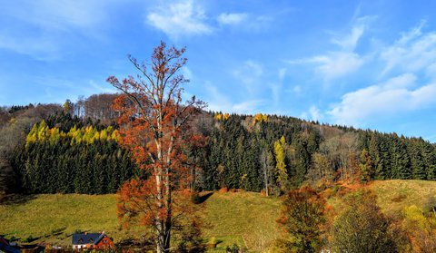 FOTKA - Krytofovo dol