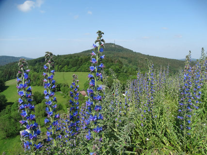 FOTKA - Toltejn