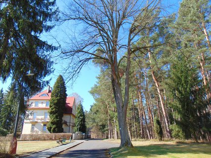 FOTKA - Za odpoinkem i na vlet do Lzn Kundratice