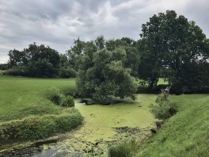 FOTKA - Jak jsme objevili skanzen