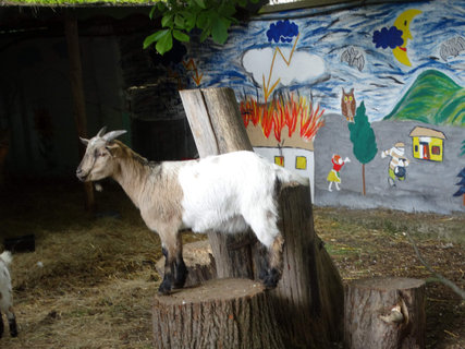 FOTKA - Zmek, muzeum i zvtka - to ve jsou Doudleby nad Orlic