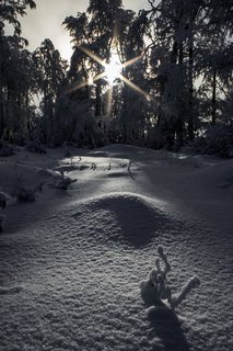 FOTKA - Zimn putovn po Pustevnch a jejich okol