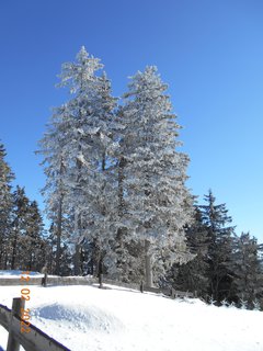 FOTKA - Lanovkou nahoru a pky dol