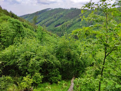 FOTKA - Kudy (ne)vyrazit na Praivou