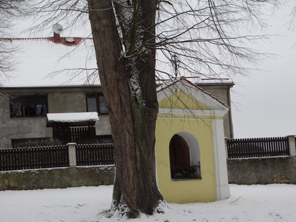 FOTKA - Zcenina hradu Jesteb