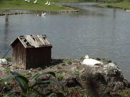 FOTKA - Na vlet do Roalovic