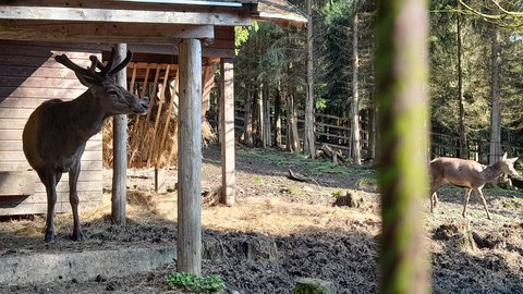 FOTKA - Bl  vlet k urbskmu klauzu, prameni Smradlav i do Obrky Bl