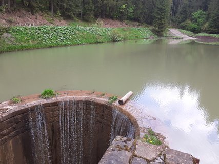 FOTKA - Bl  vlet k urbskmu klauzu, prameni Smradlav i do Obrky Bl