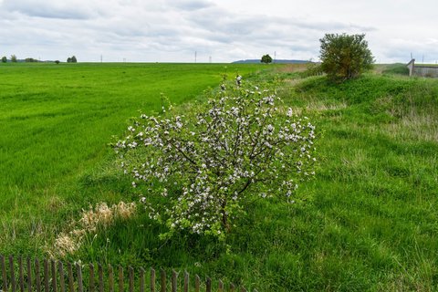 FOTKA - Rozhledna Task