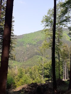 FOTKA - Vodn ndr Morvka a jej okol