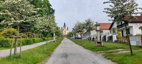 FOTKA - Chlum u Tebon, msto uprosted rybnk k pemlen i odpoinku