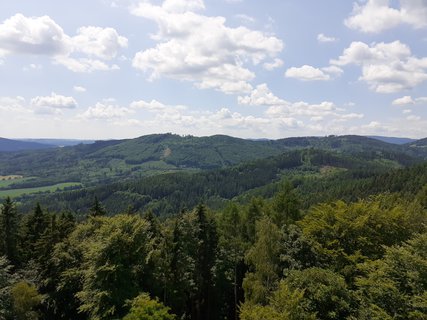 FOTKA - Rapotn a rozhledna Bukovka