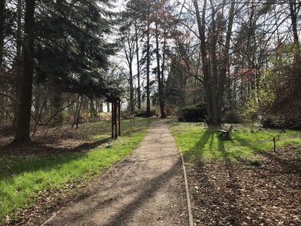 FOTKA - Arboretum Vysok Chvojno