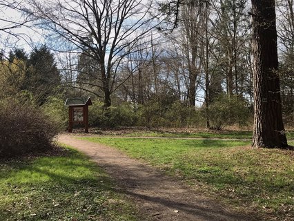 FOTKA - Arboretum Vysok Chvojno