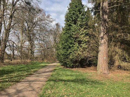 FOTKA - Arboretum Vysok Chvojno