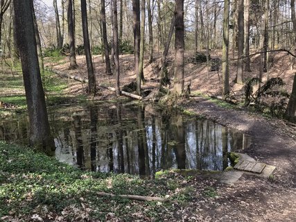 FOTKA - Arboretum Vysok Chvojno