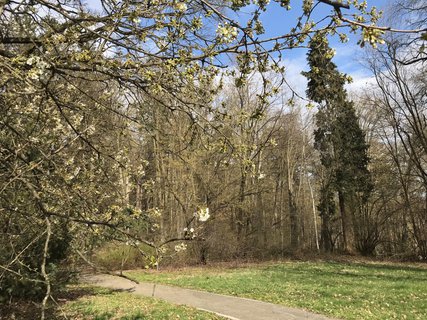 FOTKA - Arboretum Vysok Chvojno