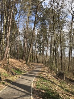 FOTKA - Arboretum Vysok Chvojno