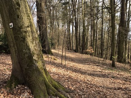 FOTKA - Arboretum Vysok Chvojno