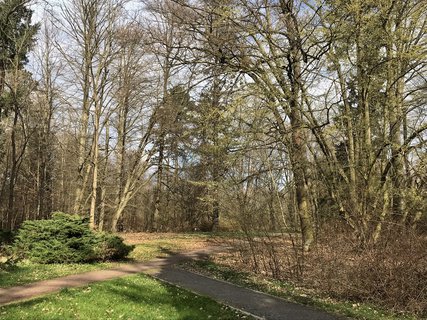 FOTKA - Arboretum Vysok Chvojno