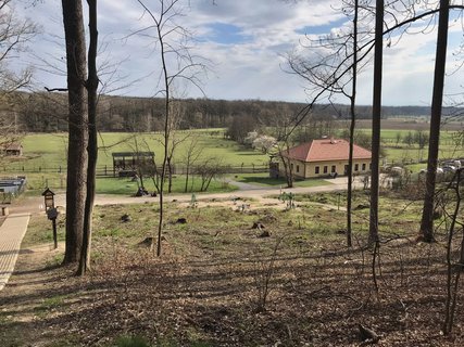 FOTKA - Arboretum Vysok Chvojno