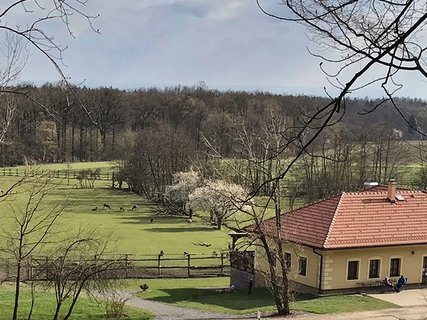 FOTKA - Arboretum Vysok Chvojno