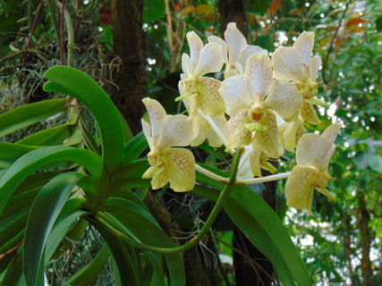 FOTKA - Botanick zahrada Teplice