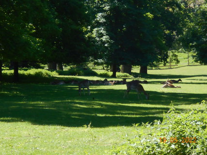 FOTKA - Zmeck park ve Veltrusch - perla dolnho Povltav