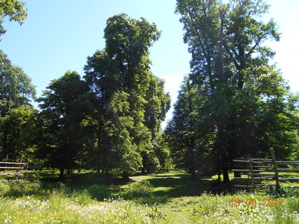 FOTKA - Zmeck park ve Veltrusch - perla dolnho Povltav