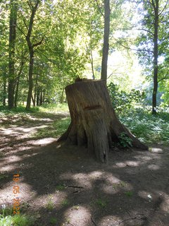 FOTKA - Zmeck park ve Veltrusch - perla dolnho Povltav