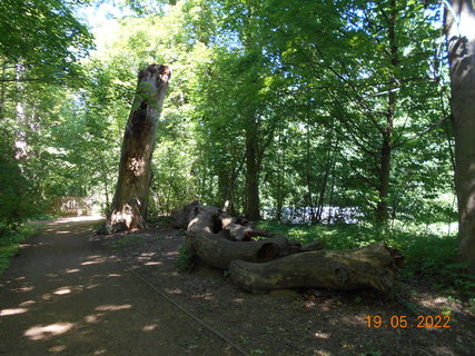 FOTKA - Zmeck park ve Veltrusch - perla dolnho Povltav