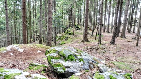 FOTKA - Rozhledna na Sedle - nae milovan umava