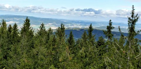 FOTKA - Rozhledna na Sedle - nae milovan umava