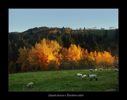 FOTKA - Podzimn sen a fototerapie...