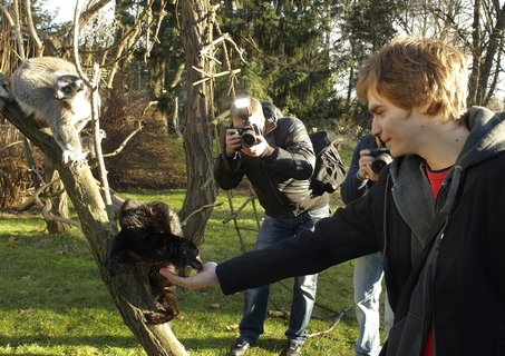 FOTKA - Druh vprava z Ulice navtvila praskou ZOO!