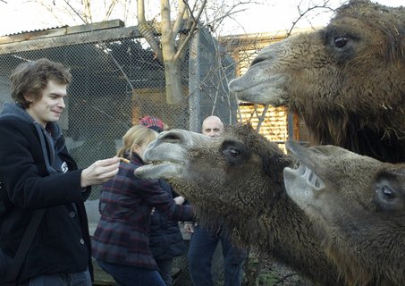 FOTKA - Druh vprava z Ulice navtvila praskou ZOO!