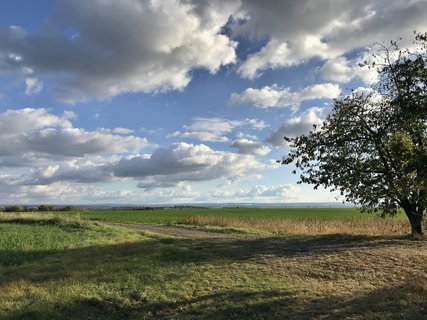 FOTKA - Toulky Habrovem