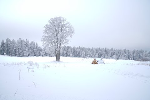 FOTKA - Zimn prochzka