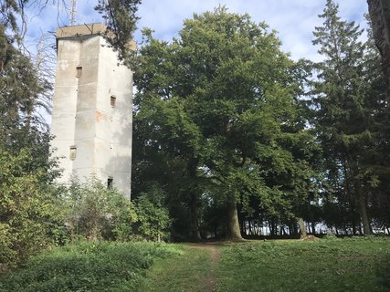 FOTKA - Zcenina letohrdku Belveder