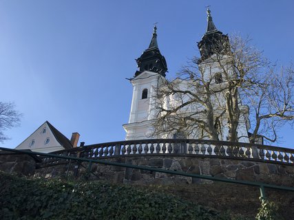 FOTKA - Pstlingberg  symbol Lince