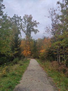 FOTKA - Kouzlo podzimnch lzn