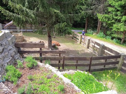 FOTKA - Nejen rozhledna vs pivt na ern Studnici