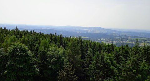 FOTKA - Nejen rozhledna vs pivt na ern Studnici