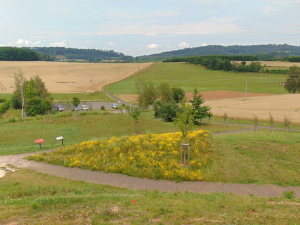 FOTKA - Byli jsme v Paleoparku