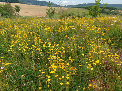 FOTKA - Byli jsme v Paleoparku