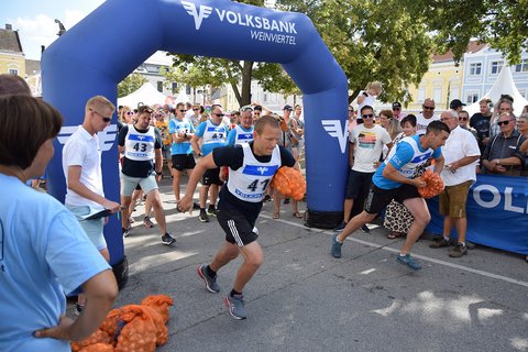 FOTKA - Navtivte tradin Cibulov slavnosti v Laa an der Thaya